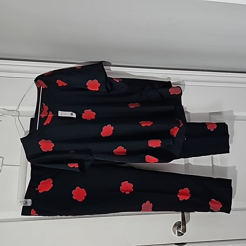 Banana republic pant set